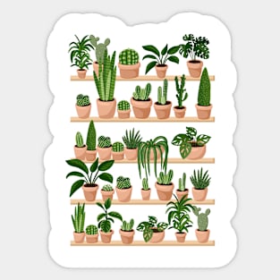 Succulents and Cacti Plants on Shelves Print Sticker